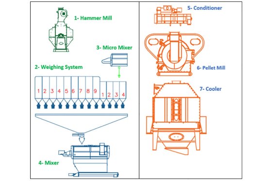 Conventional design for feed processing line